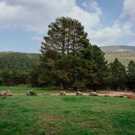 Cotanda - Casa De Montana Aislada En El Macizo Del Penyagolosa Puertomingalvo Eksteriør billede