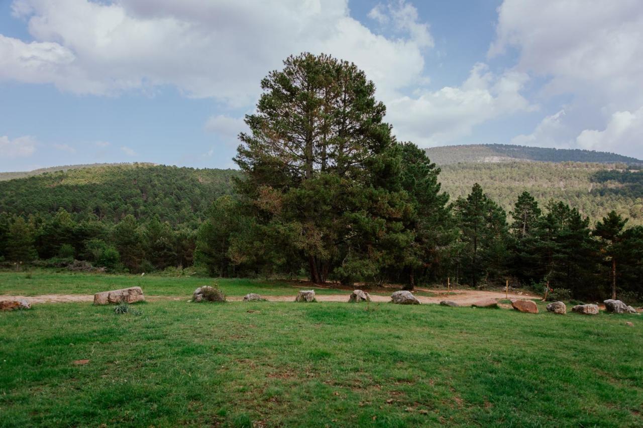 Cotanda - Casa De Montana Aislada En El Macizo Del Penyagolosa Puertomingalvo Eksteriør billede